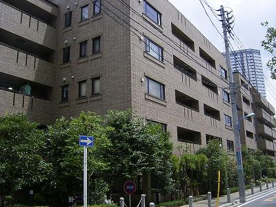 写真あり