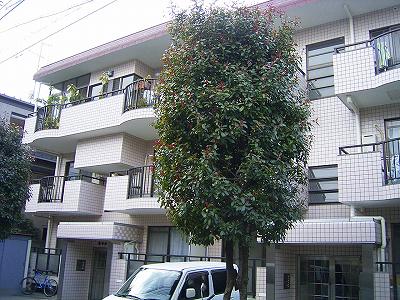 写真あり
